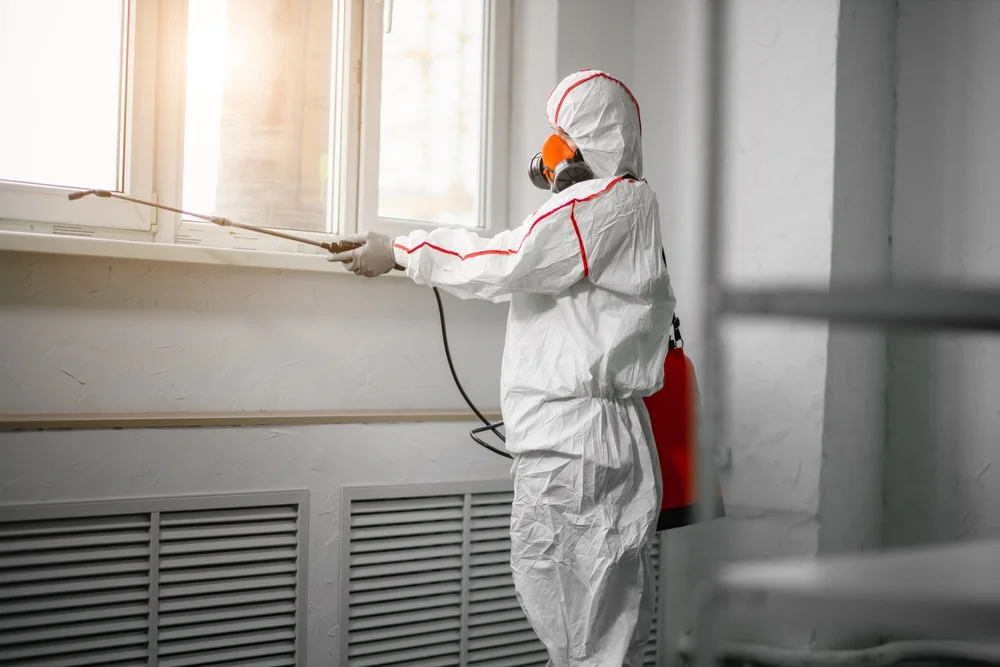 Professional mold remediation services in Alloway, NJ